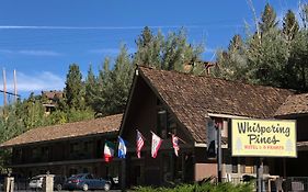 Whispering Pines